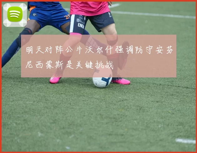 明天对阵公牛沃尔什强调防守安芬尼西蒙斯是关键挑战