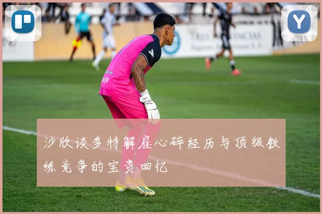 沙欣谈多特解雇心碎经历与顶级教练竞争的宝贵回忆