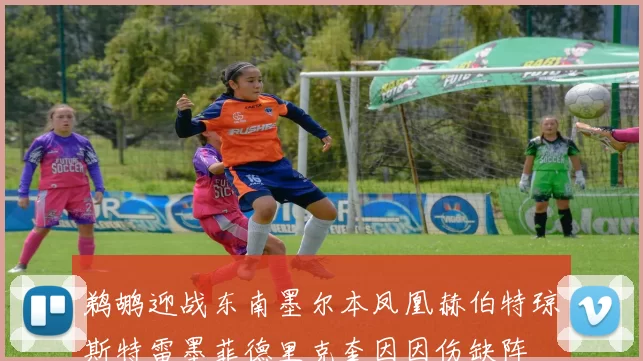 鹈鹕迎战东南墨尔本凤凰赫伯特琼斯特雷墨菲德里克奎因因伤缺阵