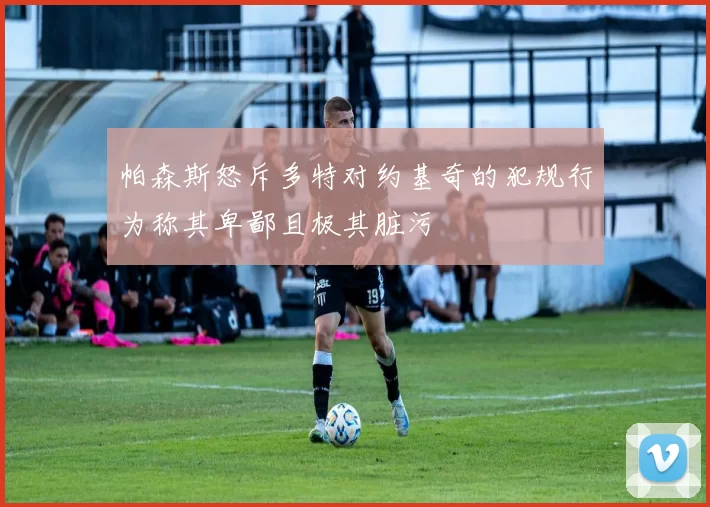 帕森斯怒斥多特对约基奇的犯规行为称其卑鄙且极其脏污